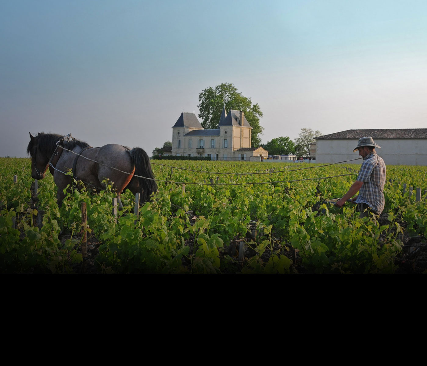 Margaux du Château Margaux 2014