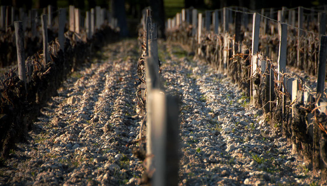 Margaux du Château Margaux 2014